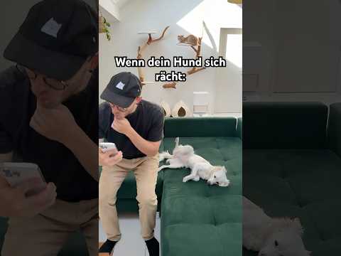 revenge is sweet 😈 #dog #comedy #meme