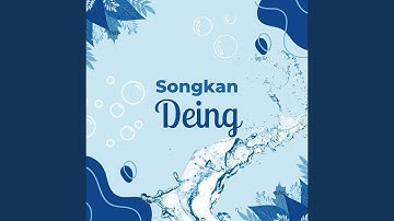 fun water play (Songkan Deing)
