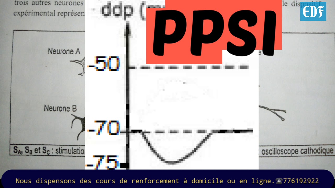 Svt : Correction composition du #1er semestre 2021