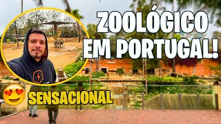 CONHECI O JARDIM ZOOLÓGICO DE LISBOA EM PORTUGAL (LUGAR SENSACIONAL) #vlog