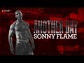 Sonny Flame - Another Day (with lyrics)