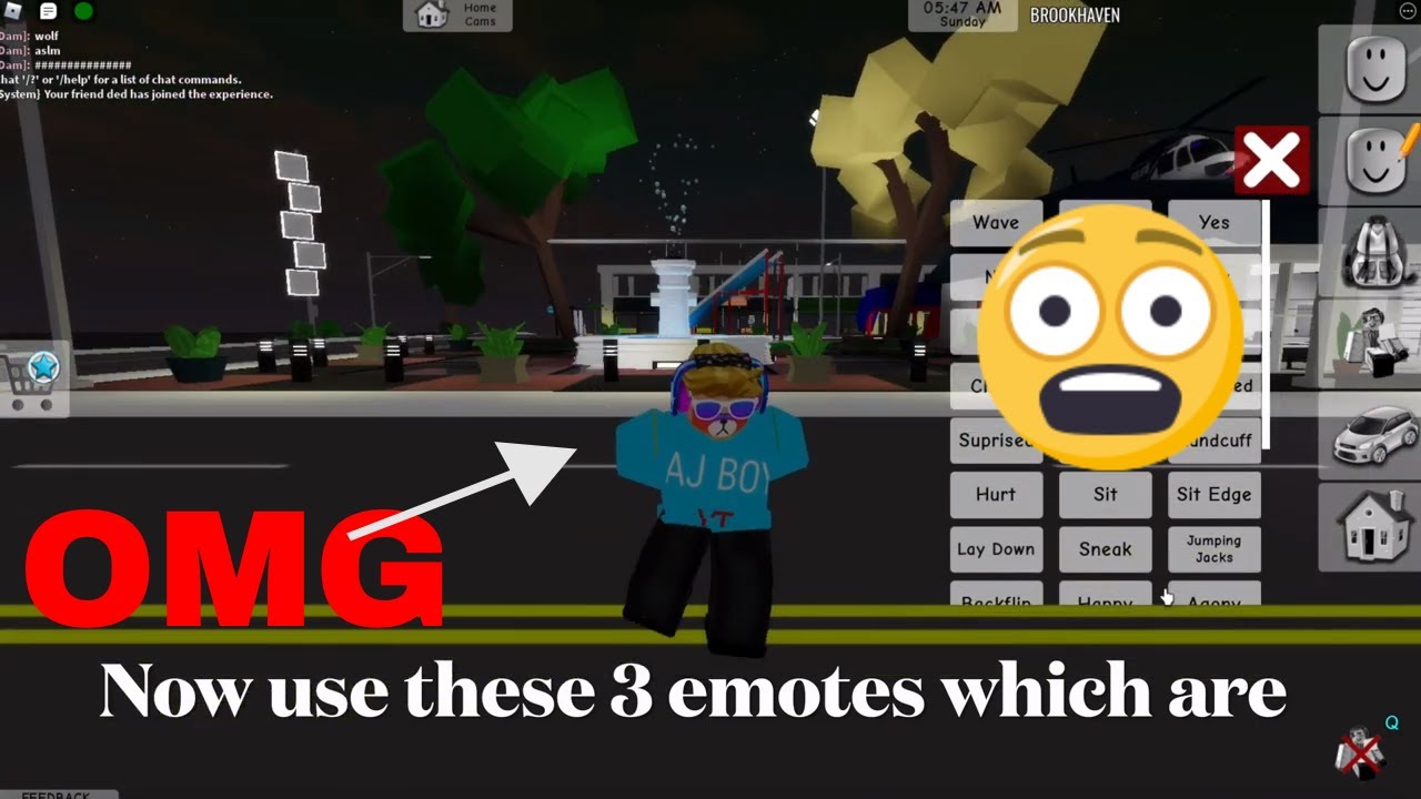 SECRET EMOTE in Roblox Brookhaven! in 2023