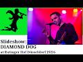 DIAMOND DOG | Ratinger Hof Düsseldorf | Live Photo Impressions (May 8, 2026)