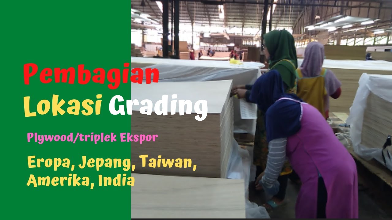 Proses plywood | Pembagian lokasi grading untuk plywood ekspor