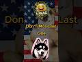 Cute &amp; Funny Animal Videos 2026 | Viral Pet Moments 😂