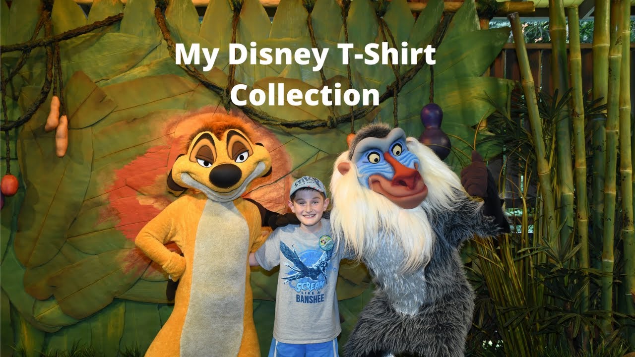 My Disney T-Shirt Collection - Disney Kid 4 Kids