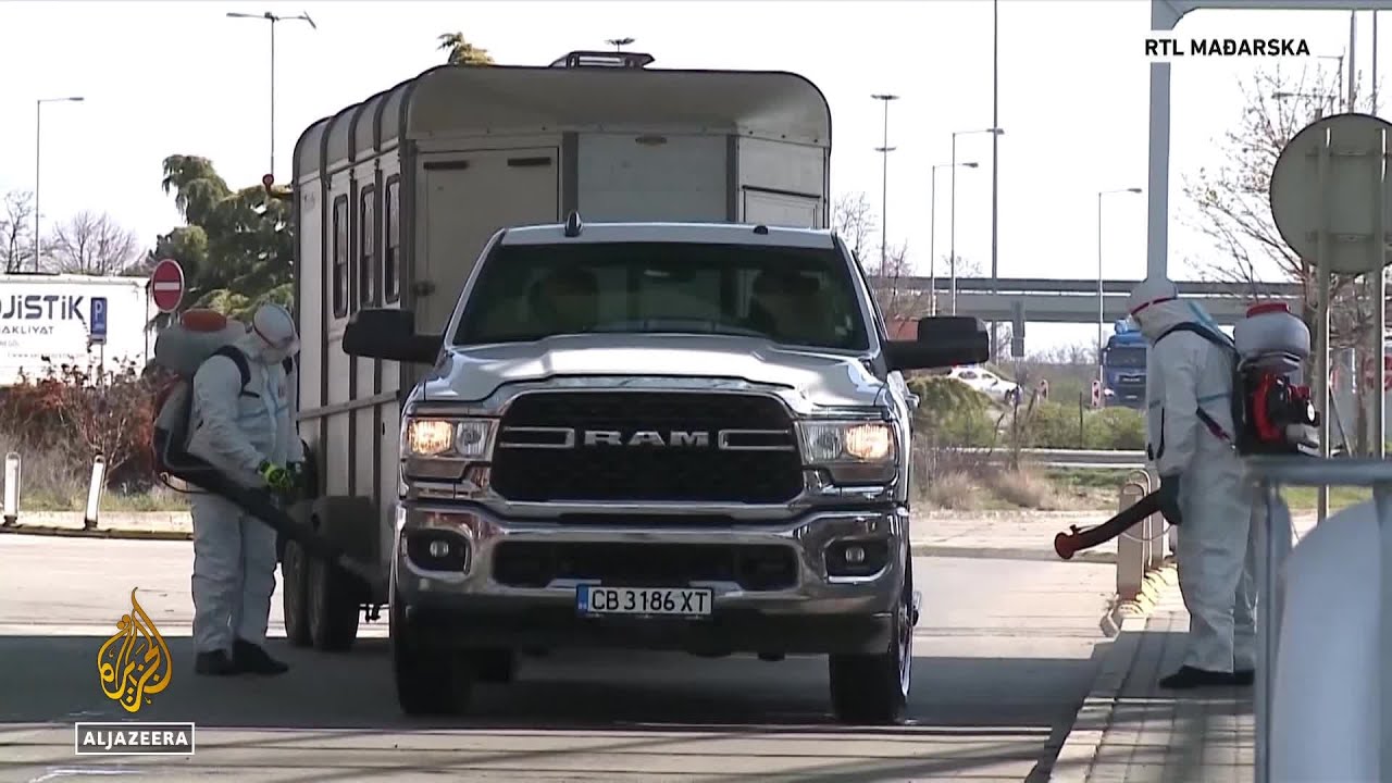 خطر الإصابة بمرض الحمى القلاعية: التدابير الوقائية في البوسنة والهرسك