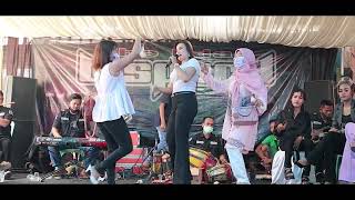 Download Lagu DAUN PUSPA - THE BISPACK MP3