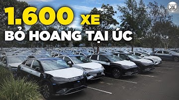 PHẪN NỘ! 1.600 Xe BYD Bị BỎ HOANG Tại Úc, Âm Mưu Nghĩa Địa Xe Điện, Sự Thật Về Ngành Xe Trung Quốc