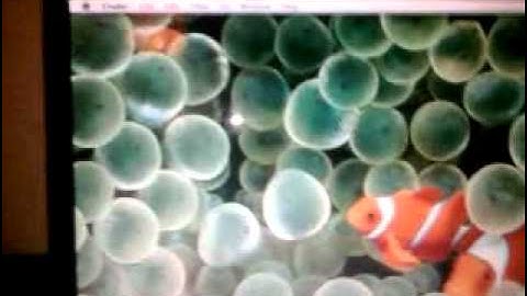 Acer Aspire 5610 running Mac Os X Leopard