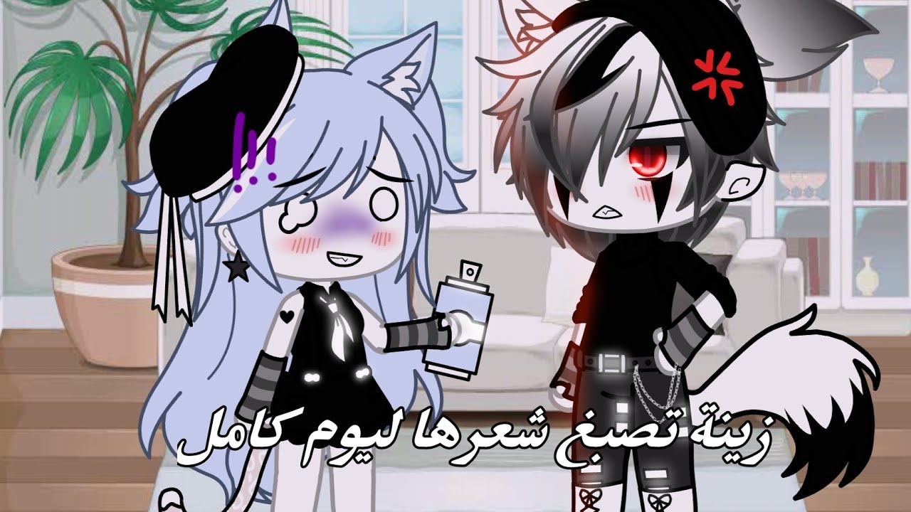 # قاشا لايف# زينة تصبغ شعرها ليوم كامل 😳+سوء فهم 🙂💕👑🥀