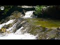 White Noise No Ads | Gentle Background Noise for Deep Sleep, Baby Rest and Calm Study Atmosphere