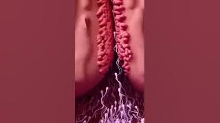 Ternyata seperti ini ! Proses pertemuan sperma dengan sel telur