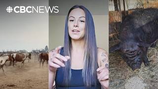 This family had to leave their pig behind when the fled a wildfire, but luckily, it survived