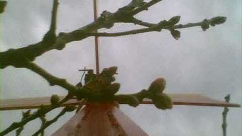 A DIY balsa rc plane part 5 of 6 crash front and back view scratch built