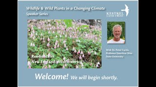 Wild Plants in a Changing Climate: Resilience in New England Wildflowers
