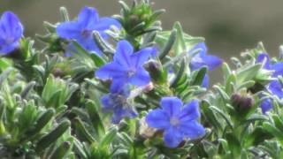 2014 İlahi Dinle Gunahimizi Biz Biliyoruz 2014 İlahi Dinle