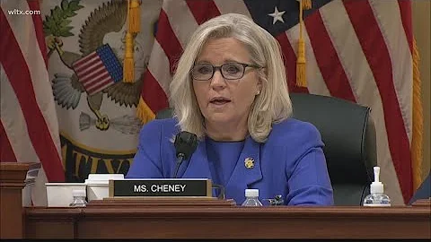 Rep. Liz Cheney up for re-election in Wyoming prim...