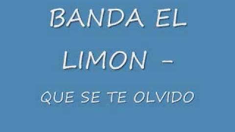 QUE SE TE OLVIDO - BANDA EL LIMON
