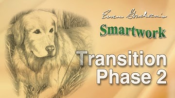 Smartwork Transition Phase 2: Improve Your Dog’s Water Blinds