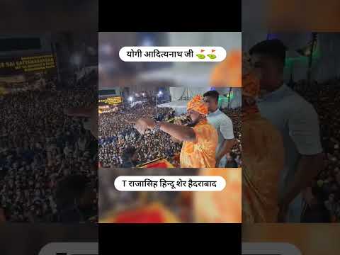 T Raja Singh Hindu sher heydrabad #shortvideo #shankarkunjam# #trajasinng#shortvideo
