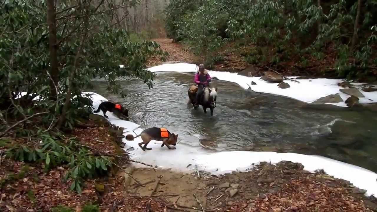 Horseback riding with awesome creeks and waterfalls in West Virginia