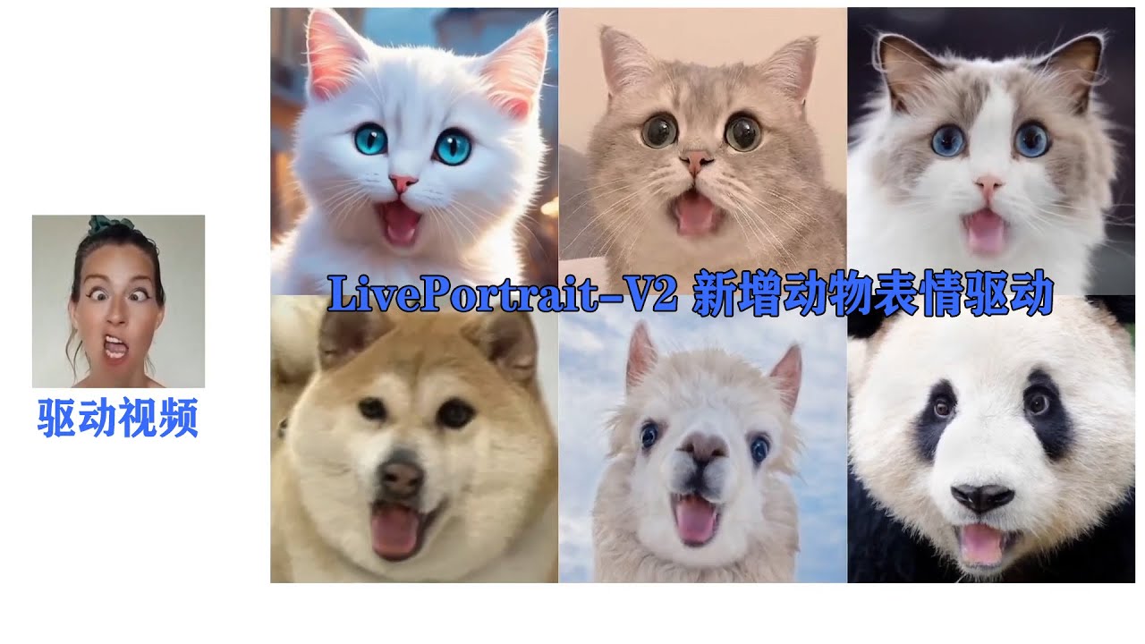 LivePortrait V2版：一键包表情包制作，表情迁移，新增动物模式，支持动物表情迁移。一张照片生成生动视频，精准操控眼睛和嘴唇动作 ...