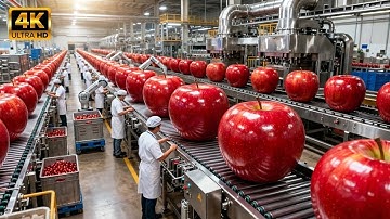 Inside a Modern Apple Juice Factory | Full Production Process