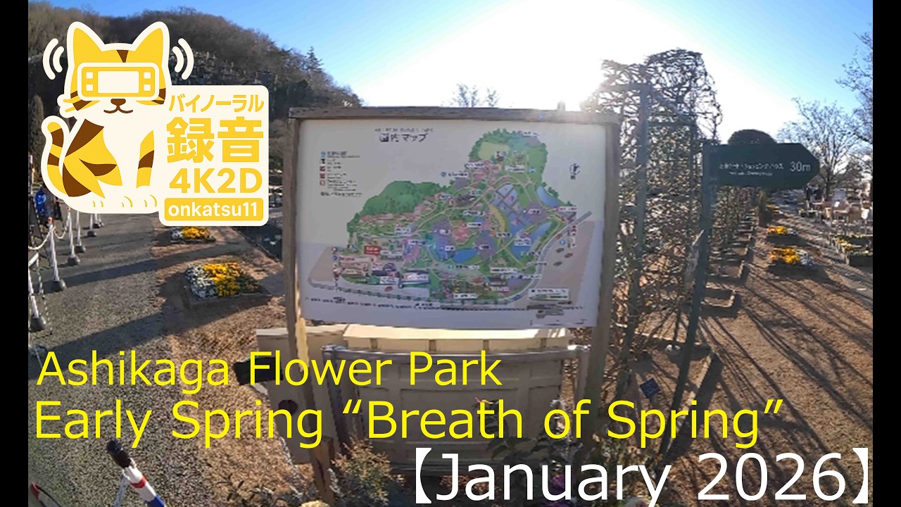 🌼[Ashikaga Flower Park — Early Spring “Breath of Spring” — January 2026 — Full 4K 2D Uncut Edition]