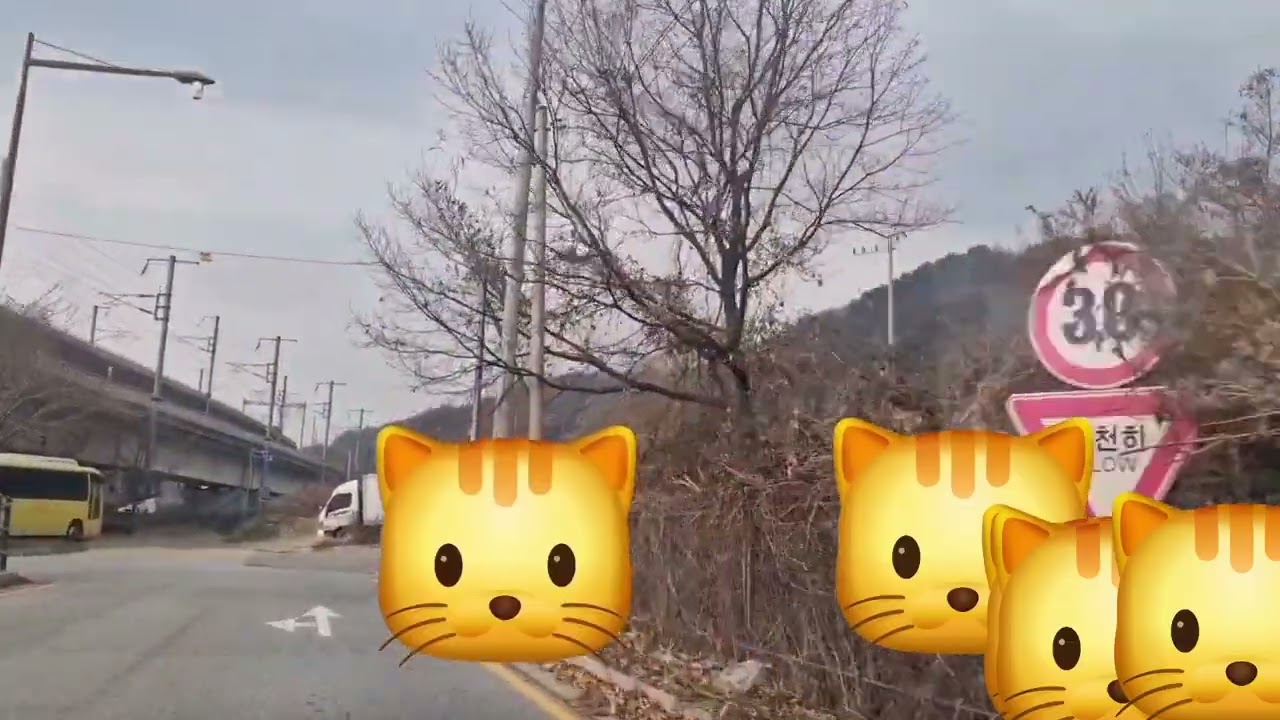   ASMR#84 .타이어코리아 호평점~명륜진사갈비 호평점