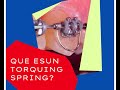 Torquin spring
