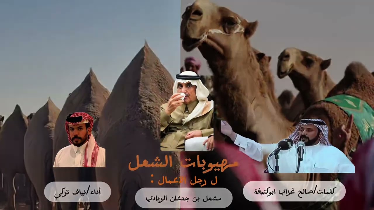 حصرياً🔥🔥| صالح غزاي ابوكتيفه| نياف تركي | مهيوبات ابن جدعان🔥🔥2026. 