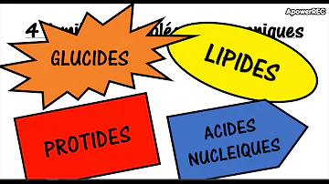 Quel sont les matière minérale ?