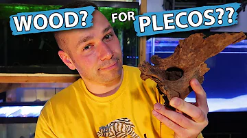 What does Driftwood do for plecos?