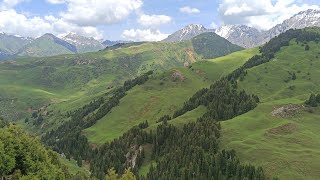 картинка: Кара Кулжа району, Ажике жайлоосу 19.06.2022