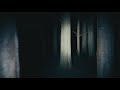 Quiet Midnight in Tokyo | Pitch-Dark Forest & Empty Streets