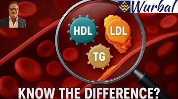 What Is Cholesterol? A Simple Guide to LDL, HDL & Triglycerides!
