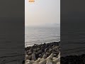 Marine drive Mumbai 😎#shorts #viral #youtubeshorts #shortvideo #facts #marine #mumbai #maharashtra