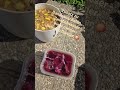 Zwiebel-Dünger gegen Schädlinge und Pilzkrankheiten #zwiebel #dünger #gemüse #garten #schutz #natur