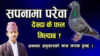 सपनम परव दखम क हनछ ? Sapanama Parewa Dekhe K Hunxa Sapanama Parewa Sapanako Fal Nepali