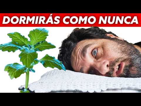 Cosas del Jardin