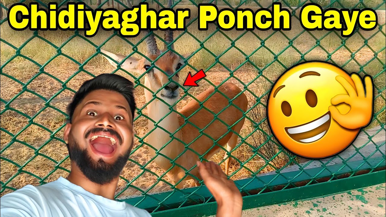 CHIDIYAGHAR 🐦 Ponch Gaye 🥰 | Honey Janagal Vlogs 