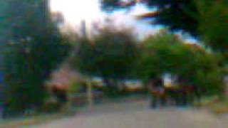 Unu Care Fura Caii De Pe Drum