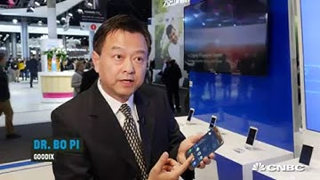 Innovative Biometric Solutions for Display