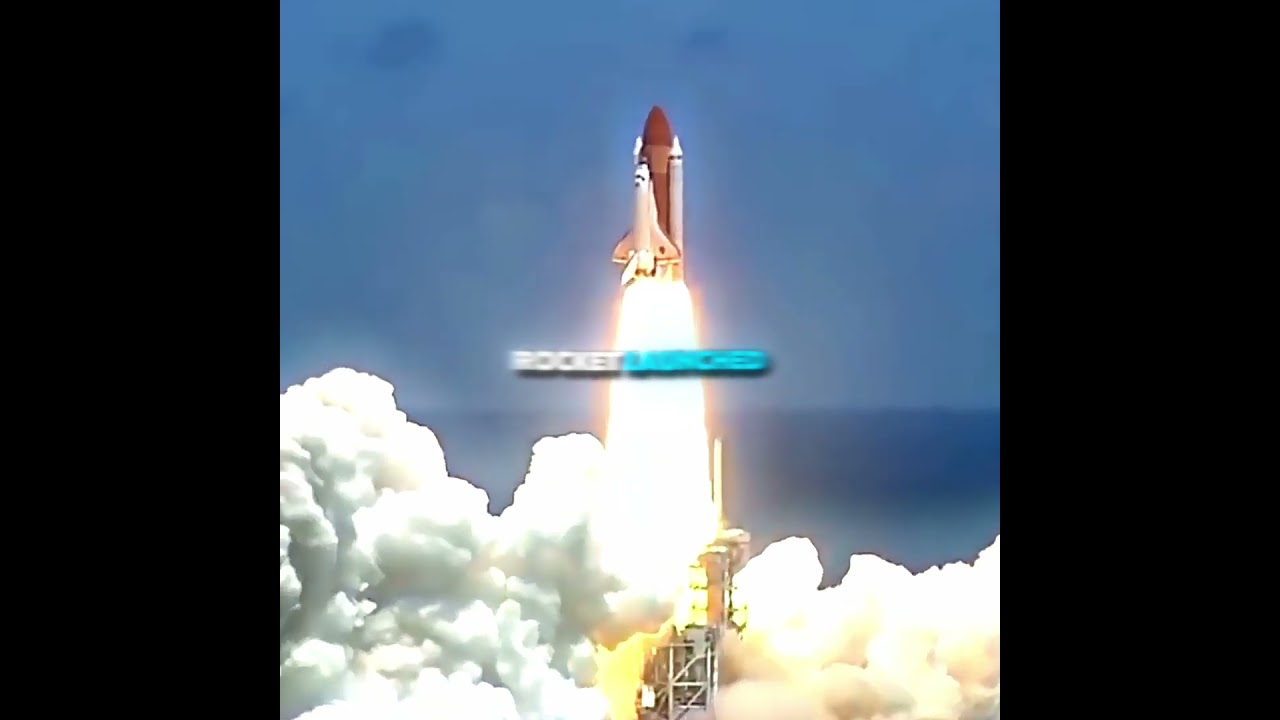 The Sad Story Of Laika "The Space Dog"😢