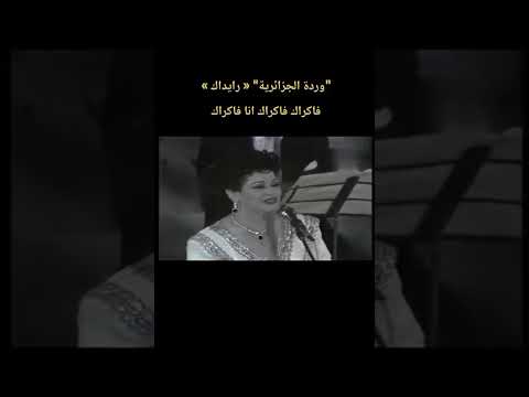 وردة الجزائرية رايداك فاكراك فاكراك انا فاكراك