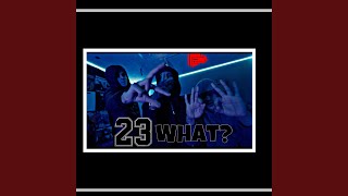 23 WHAT? (feat. Lilluu)