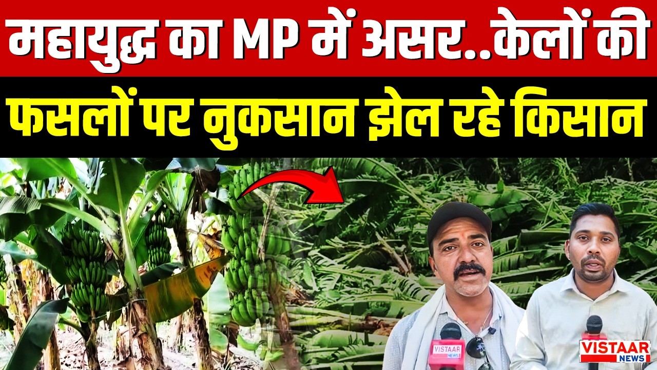 Badwani | महायुद्ध का MP में असर..केलों की फसलों पर नुकसान झेल रहे किसान | Iran–Israel conflict