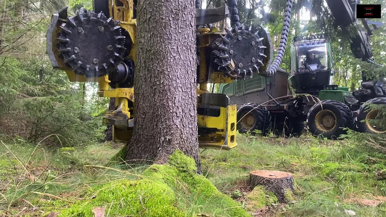 Harry & Matti 》 Holzfäller vom alten Schlag 》 1270G 》  MS462 》 Tr30 》 [ 1 : ? ]