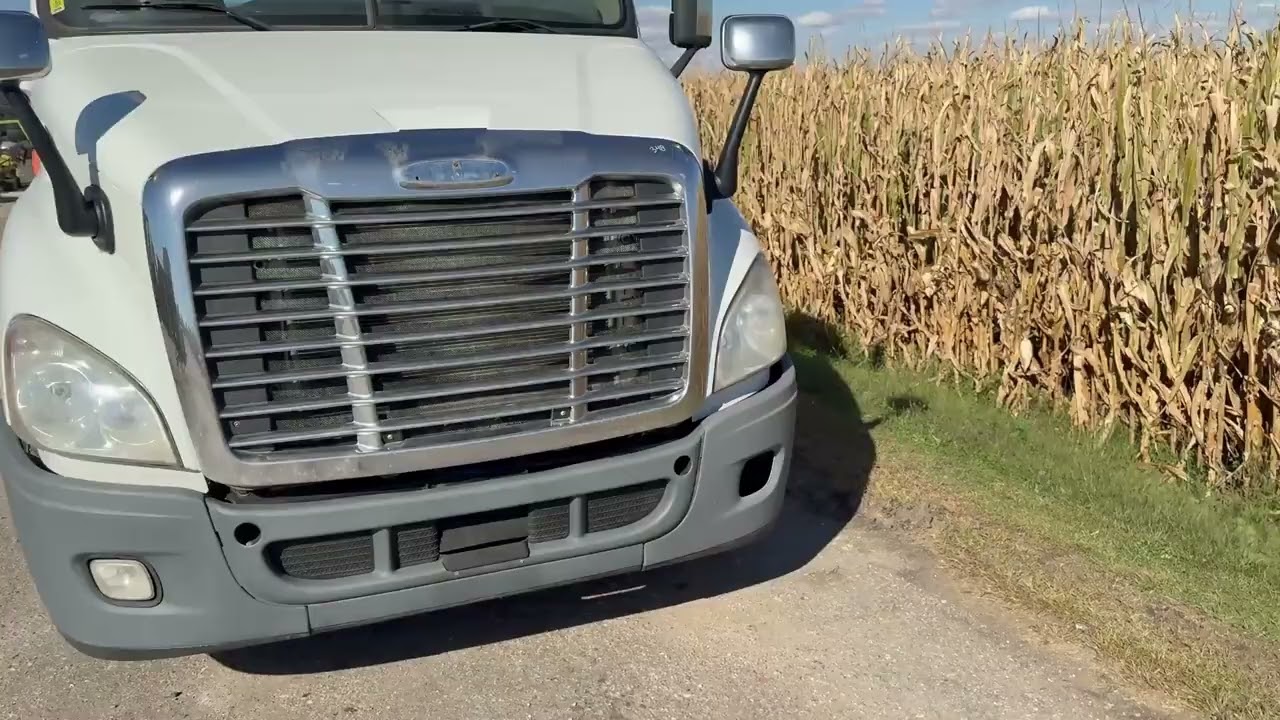 2014 FREIGHTLINER CASCADIA 113 For Sale